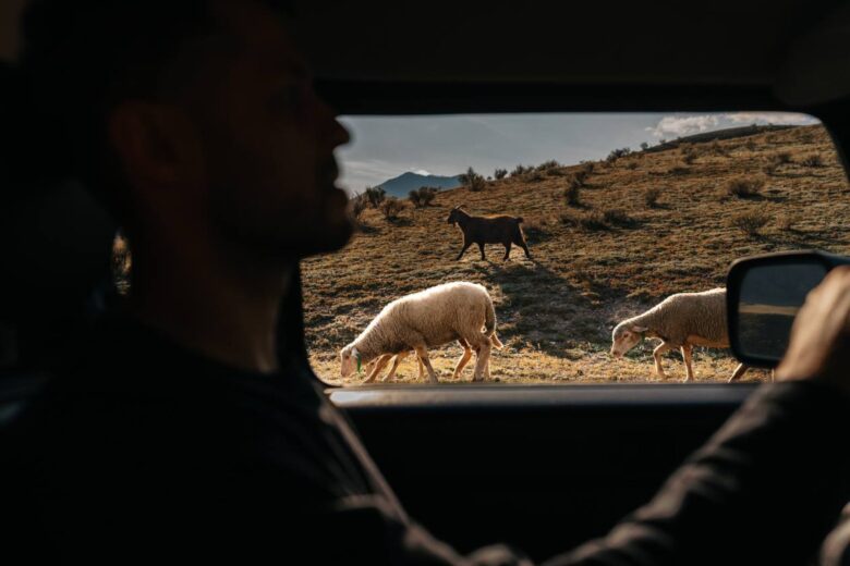 Как построить отель мечты без опыта и инфраструктуры: история алтайского проекта YÜTA